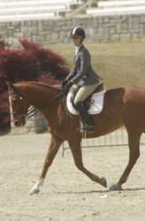 Figure 17: Correct position
for the huntseat rider
when riding at a posting
trot or hand gallop.